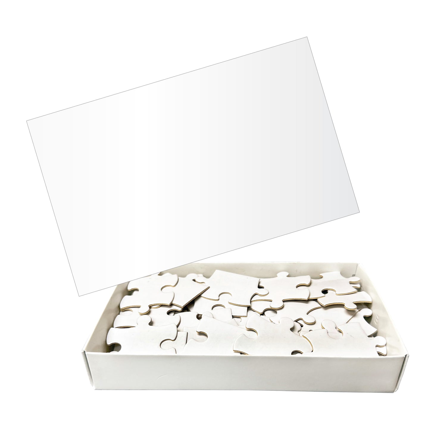 40 Pc Full Color Jigsaw Puzzle