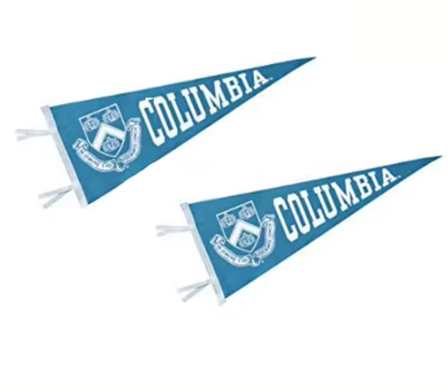 Custom Felt Pennant - 4x10"