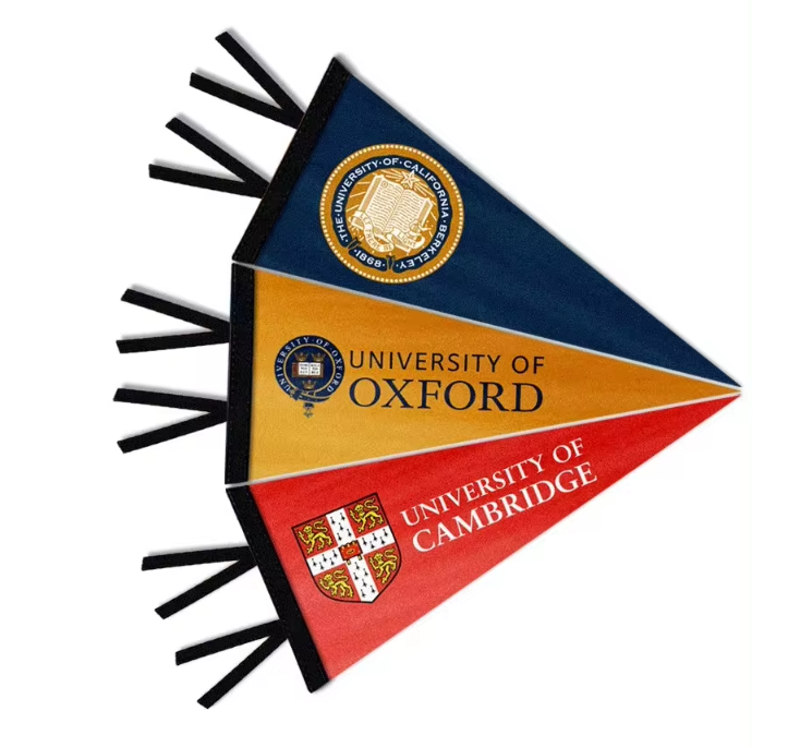 Custom Felt Pennant - 4x10"