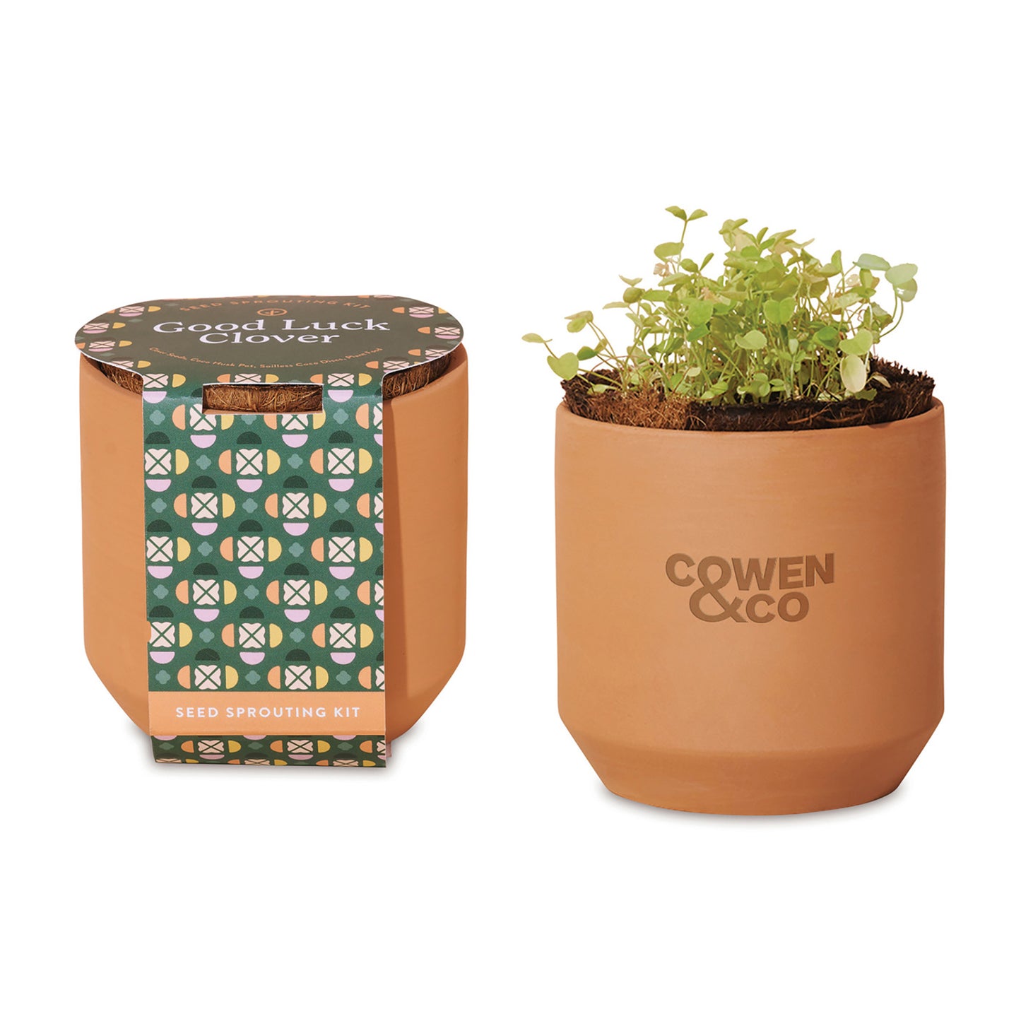 Modern Sprout Tiny Terracotta Grow Kit Good Luck Clover