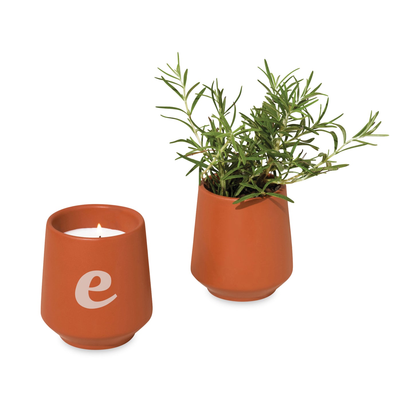 Modern Sprout Rooted Candle