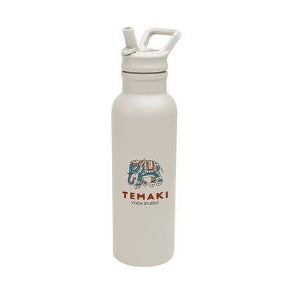 17 oz Spill-Proof Insulated Stainless Steel Bottle