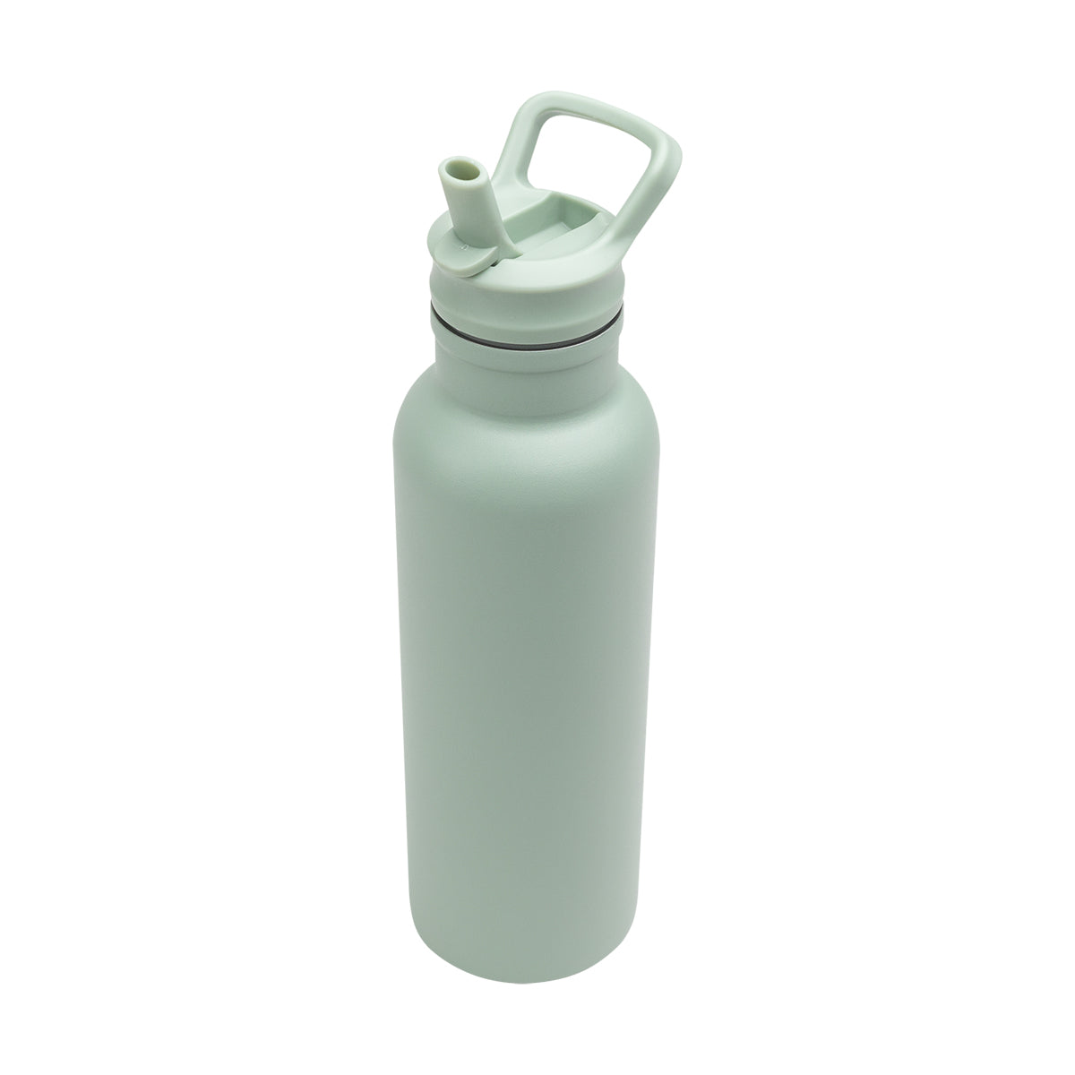 17 oz Spill-Proof Insulated Stainless Steel Bottle