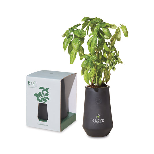 Modern Sprout Tapered Tumbler Grow Kit