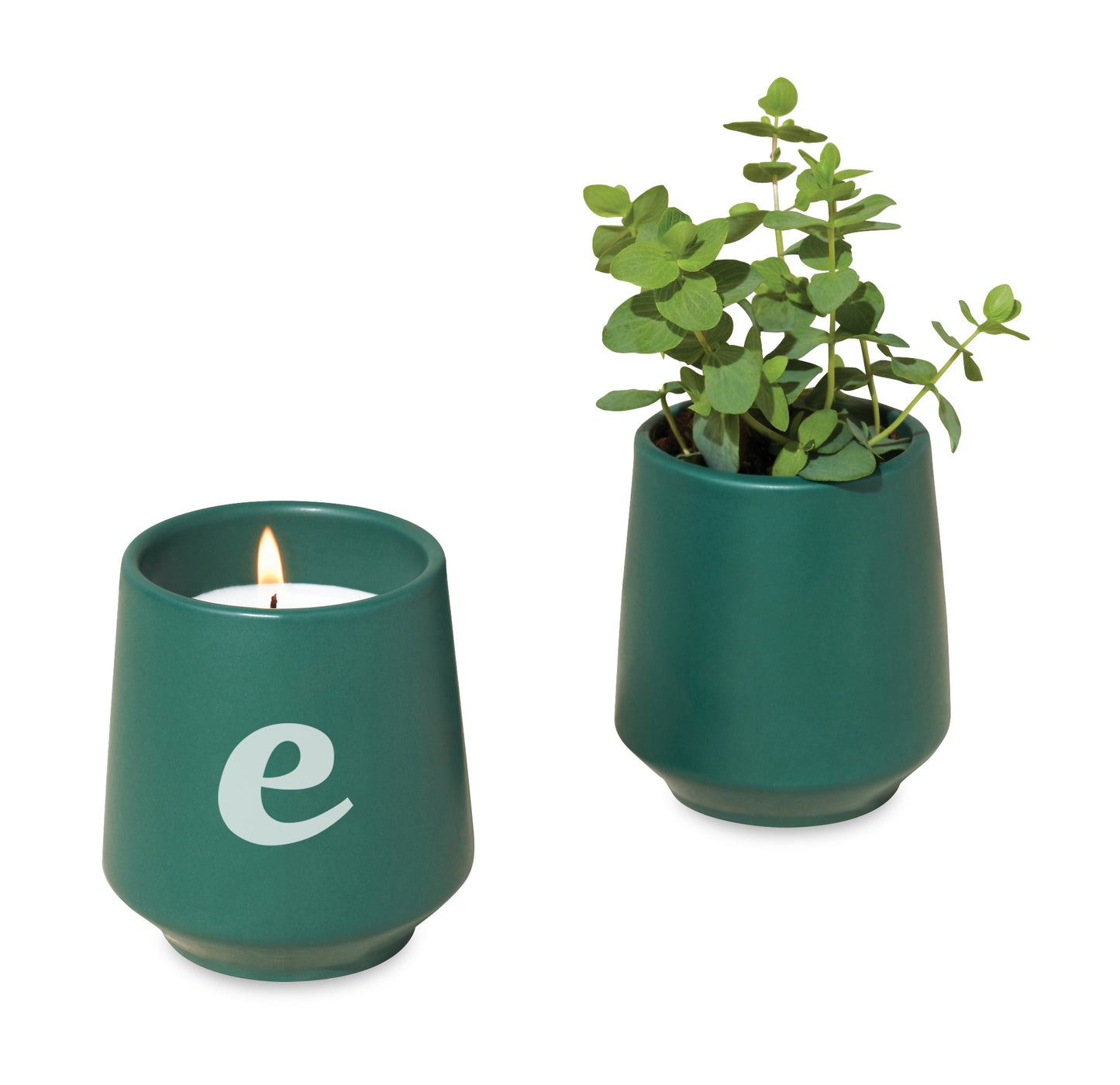 Modern Sprout Rooted Candle